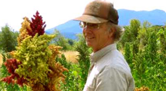 Harry MacCormack