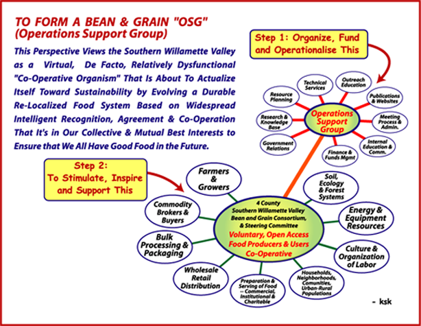 Organization Model by Krishna Khalsa